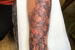 A3FCC3CF-33D6-4563-AF41-5CB7935DB209